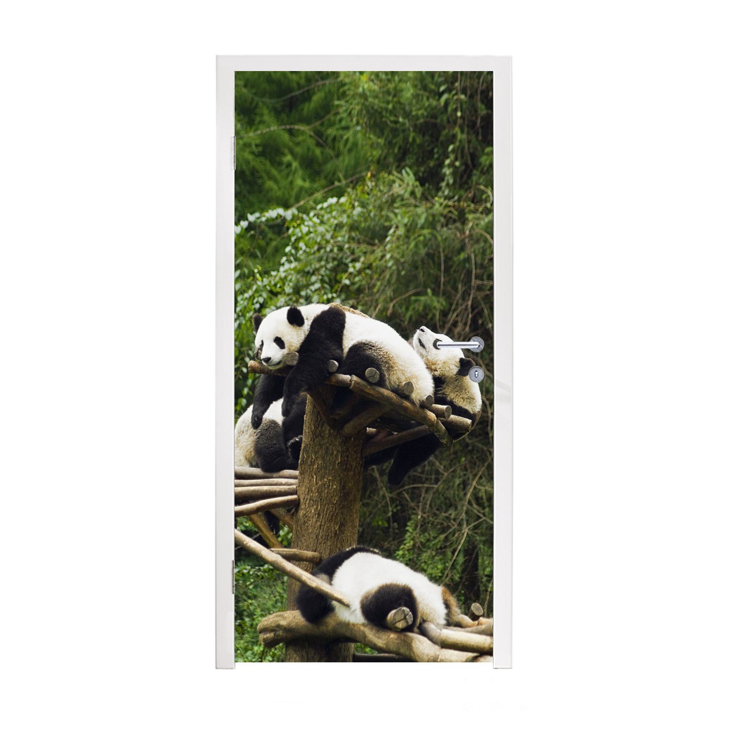 MuchoWow Türtapete Pandas - Holz - Treppe, Matt, bedruckt, (1 St), Fototapete für Tür, Türaufkleber, 75x205 cm