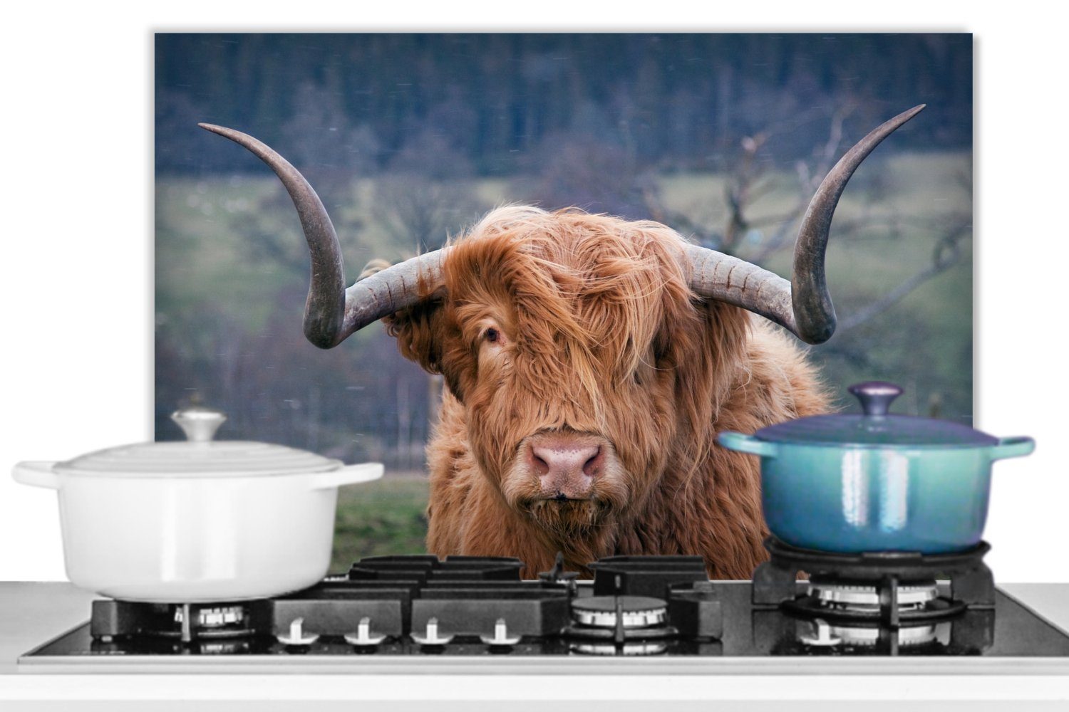 MuchoWow Küchenrückwand Schottischer Highlander - aus Natur Kuh, Temperaturbeständig (1-tlg), Kuhkopf - Herdblende 60x40 cm, - küchen - Landschaft Wandschutz