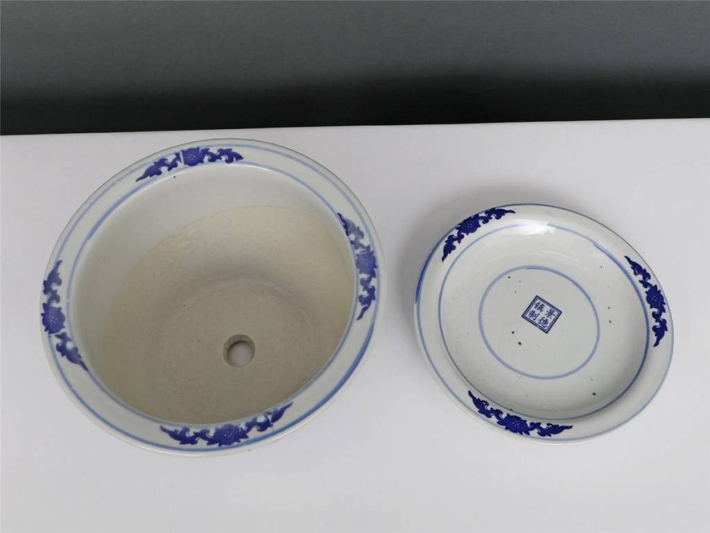 Yajutang Topfpflanze