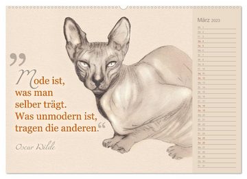 CALVENDO Wandkalender Von Katzen lernen (Premium, hochwertiger DIN A2 Wandkalender 2023, Kunstdruck in Hochglanz)