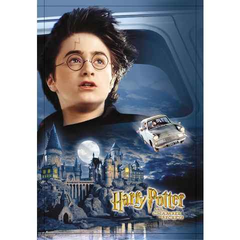 Harry Potter Poster Harry Potter und die Kammer des Schreckens 68,5 x 98 cm