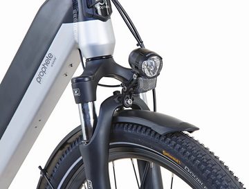 Prophete E-Bike Entdecker InsideTwo, 10 Gang Shimano Deore Schaltwerk, Kettenschaltung, Mittelmotor, 630 Wh Akku, Pedelec