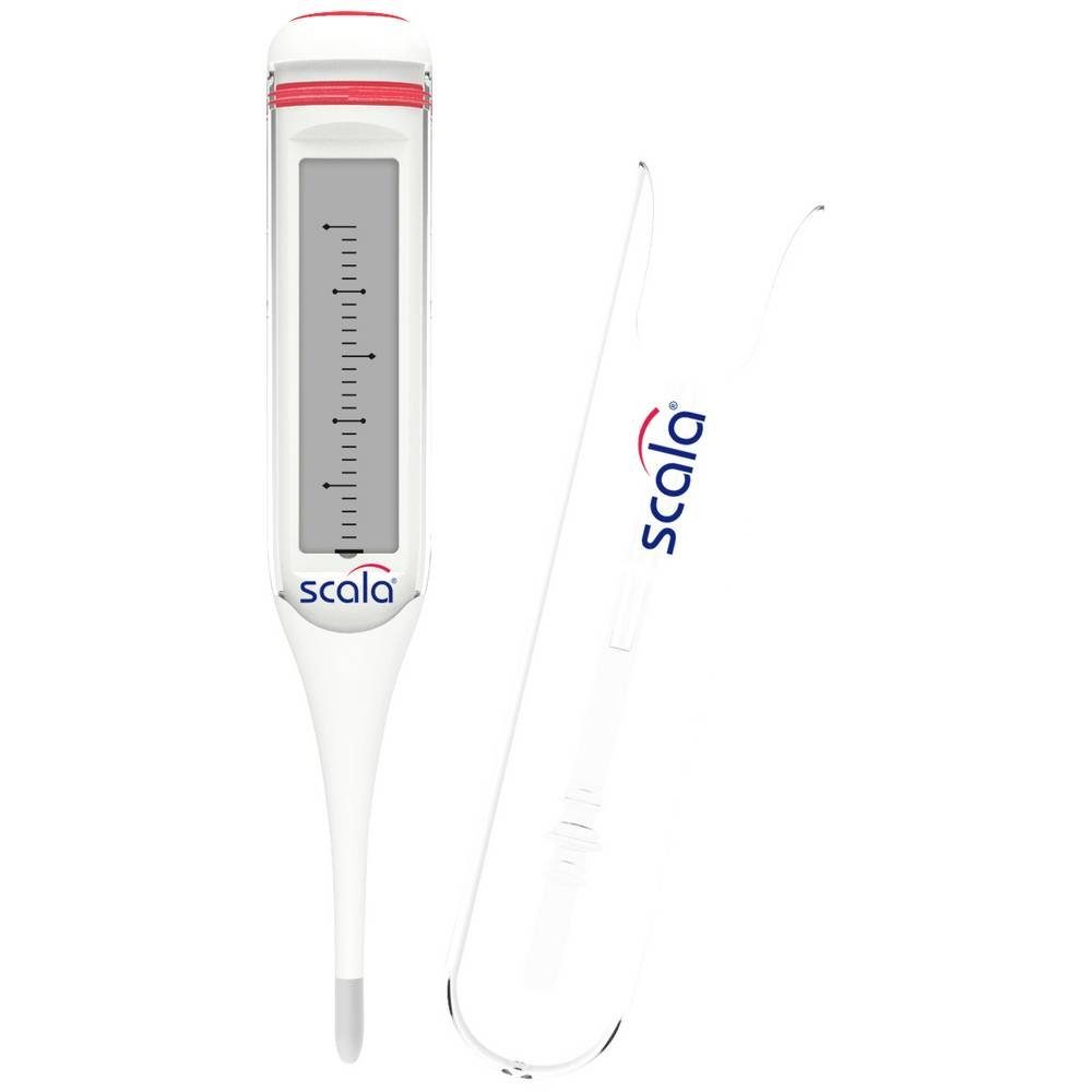 Scala Fieberthermometer Classic Fieberthermometer 01493, Wasserfest, Mit Fieberalarm