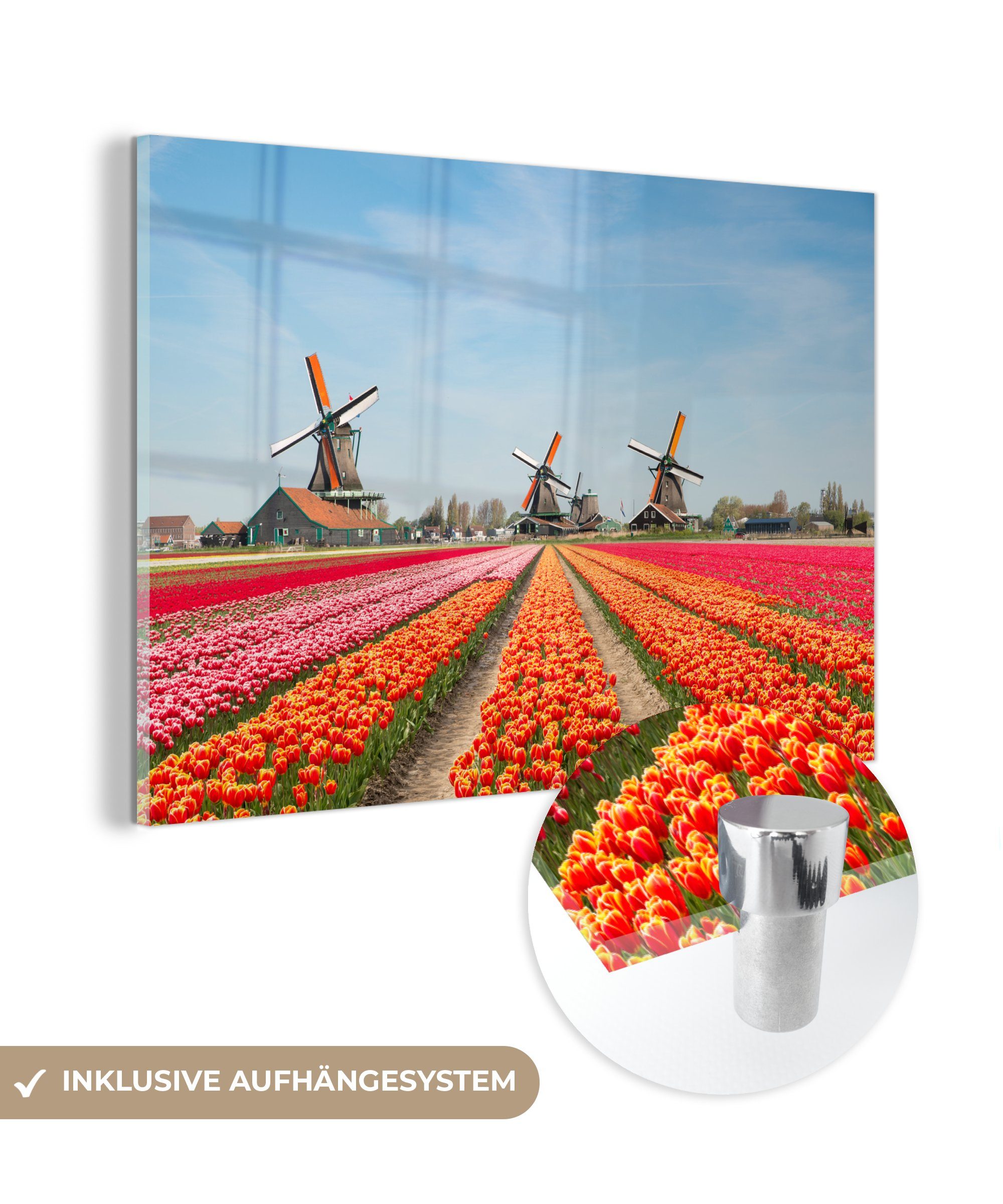 MuchoWow Acrylglasbild (1 - Schlafzimmer Niederlande, Acrylglasbilder - Wohnzimmer Tulpen Windmühle & St)