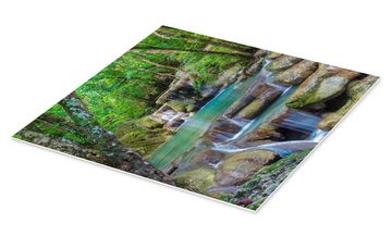 Posterlounge Forex-Bild Editors Choice, Kleiner Wasserfall im Wald, Fotografie