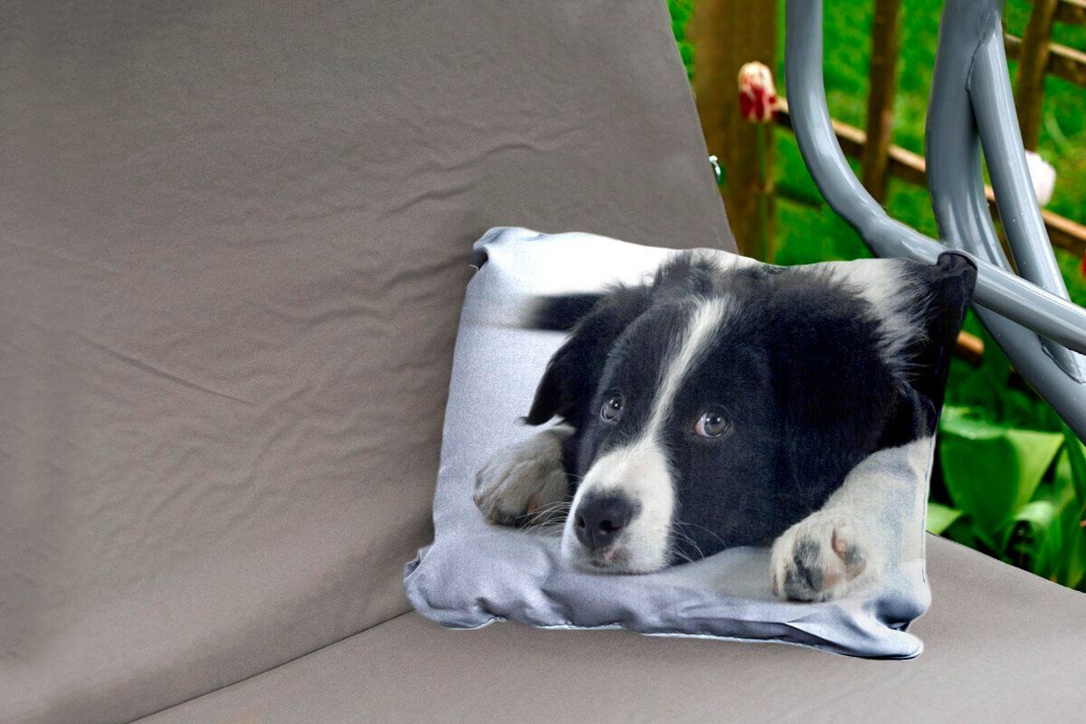 Outdoor-Dekorationskissen, Dekokissenbezug, Polyester, auf Boden, Kissenhülle Ein liegt Collie Border dem Dekokissen MuchoWow