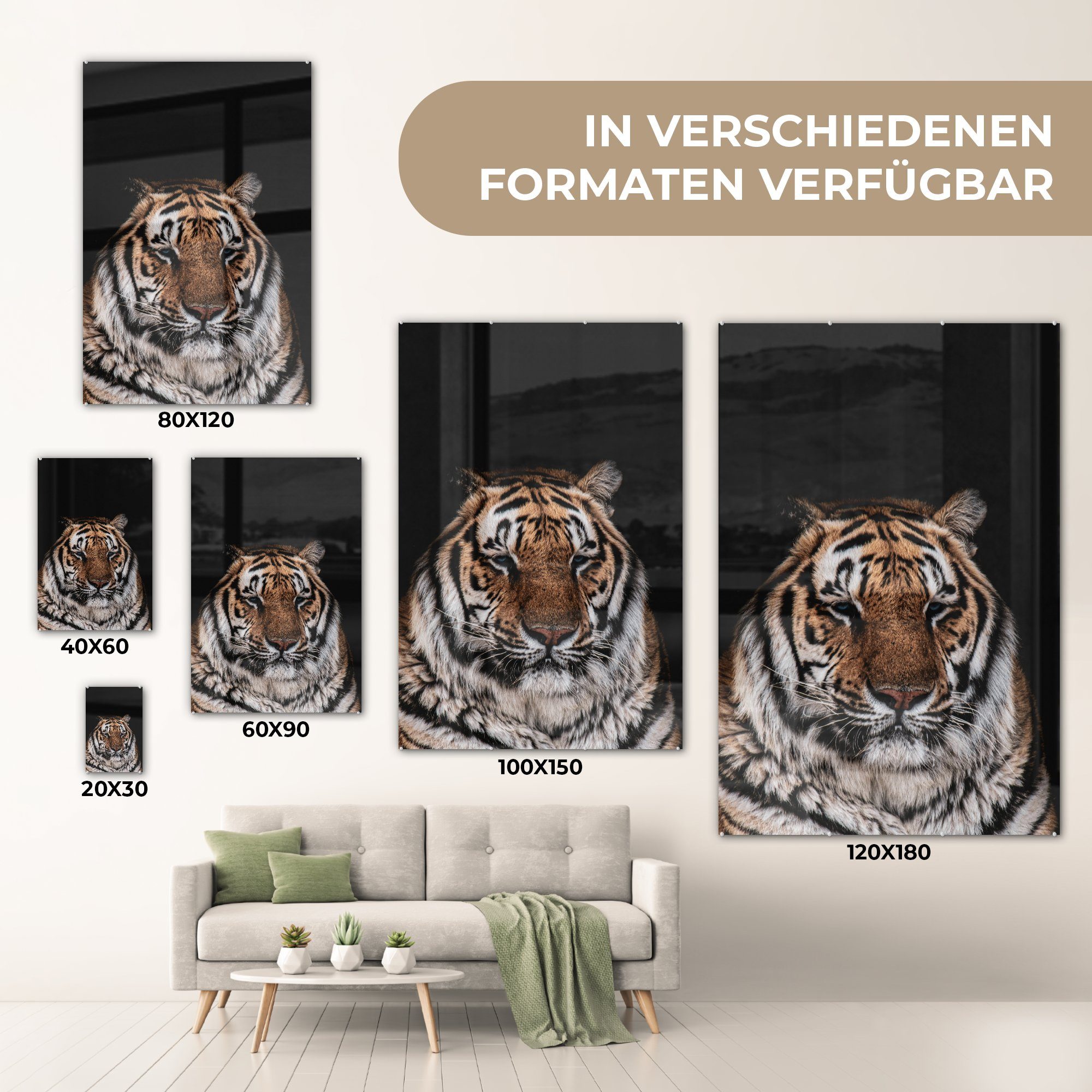 Tiger Wandbild Schwarz, Wanddekoration Glasbilder Bilder Faulenzer - MuchoWow - Acrylglasbild - St), Glas - auf auf Foto (1 bunt - Glas