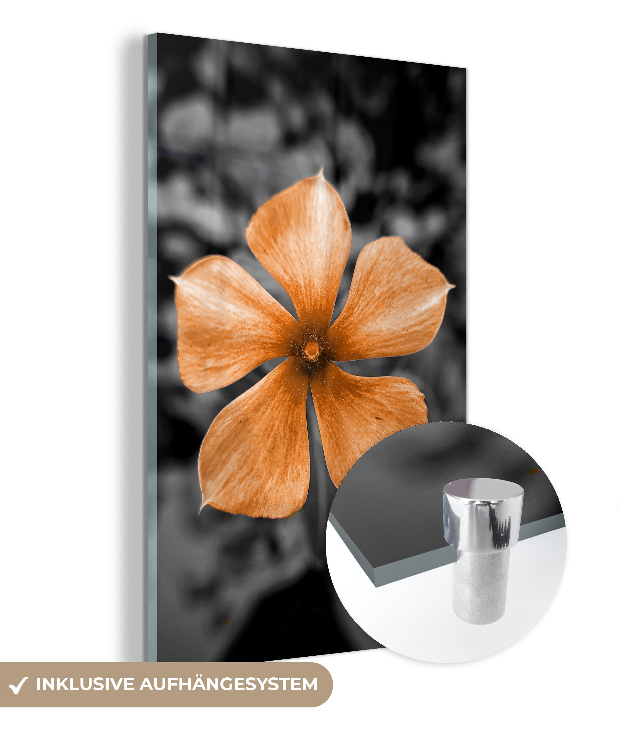 Glasbilder St), Wandbild - Wanddekoration - - Orange auf auf Bilder Blumen - Glas Acrylglasbild MuchoWow - Foto Schwarz Glas - Weiß, (1