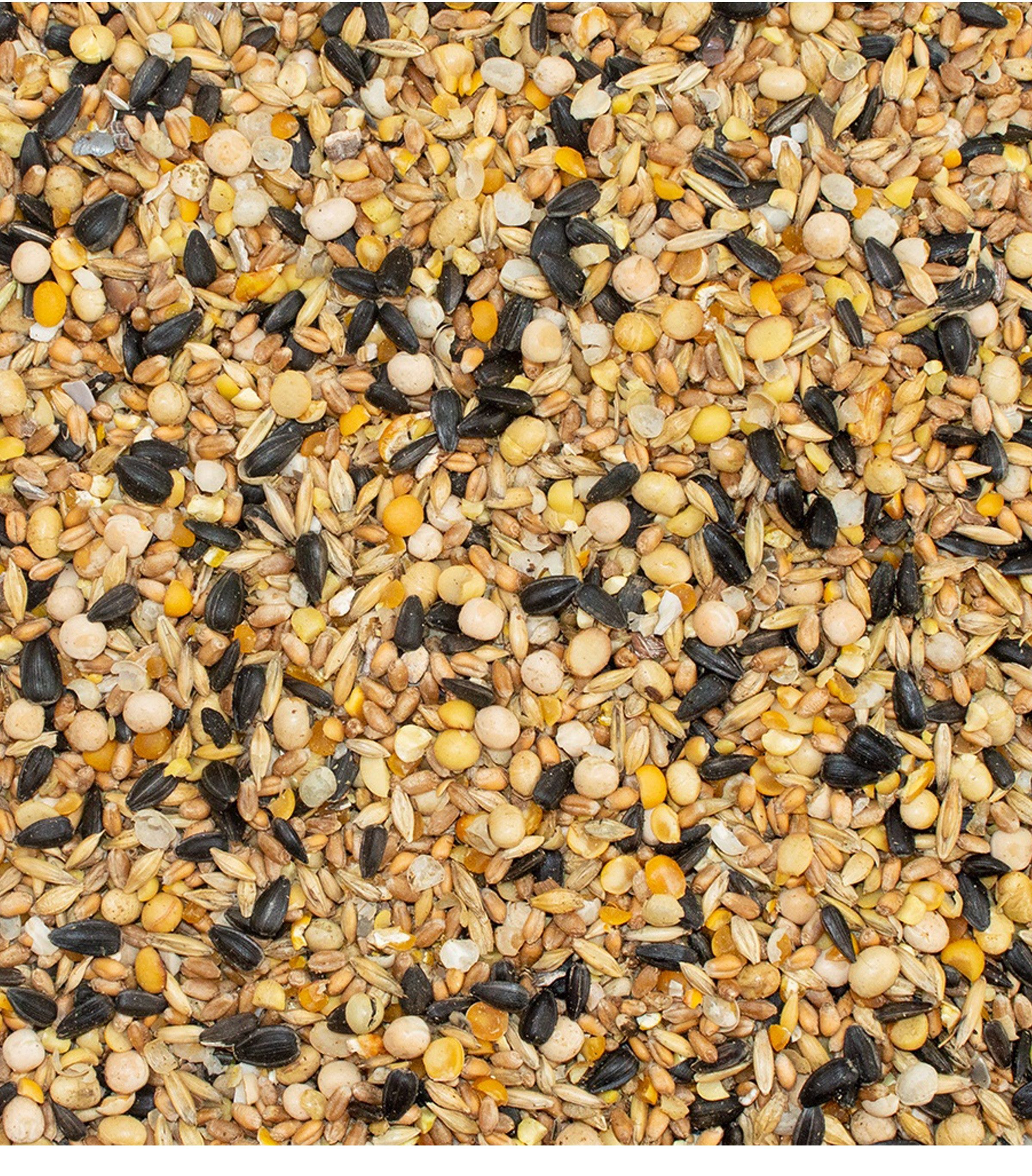 Dehner Best Nature Bio Wachtelkorn, 10 kg, für: Wachtel, Ergänzungsfutter für Geflügel, ganze Körner
