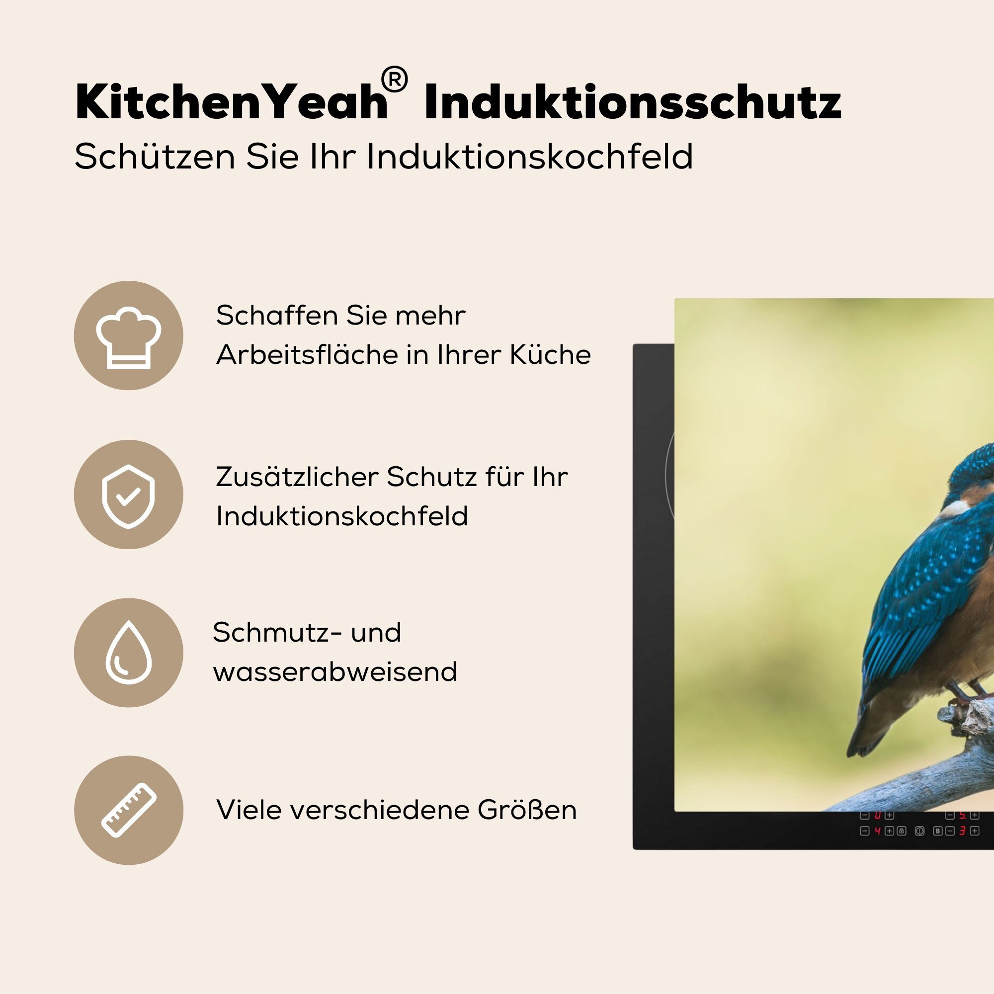 tlg), Vogel, cm, 81x52 für Eisvogel - Herdblende-/Abdeckplatte Arbeitsplatte Ceranfeldabdeckung, küche MuchoWow (1 - Vinyl, Zweig