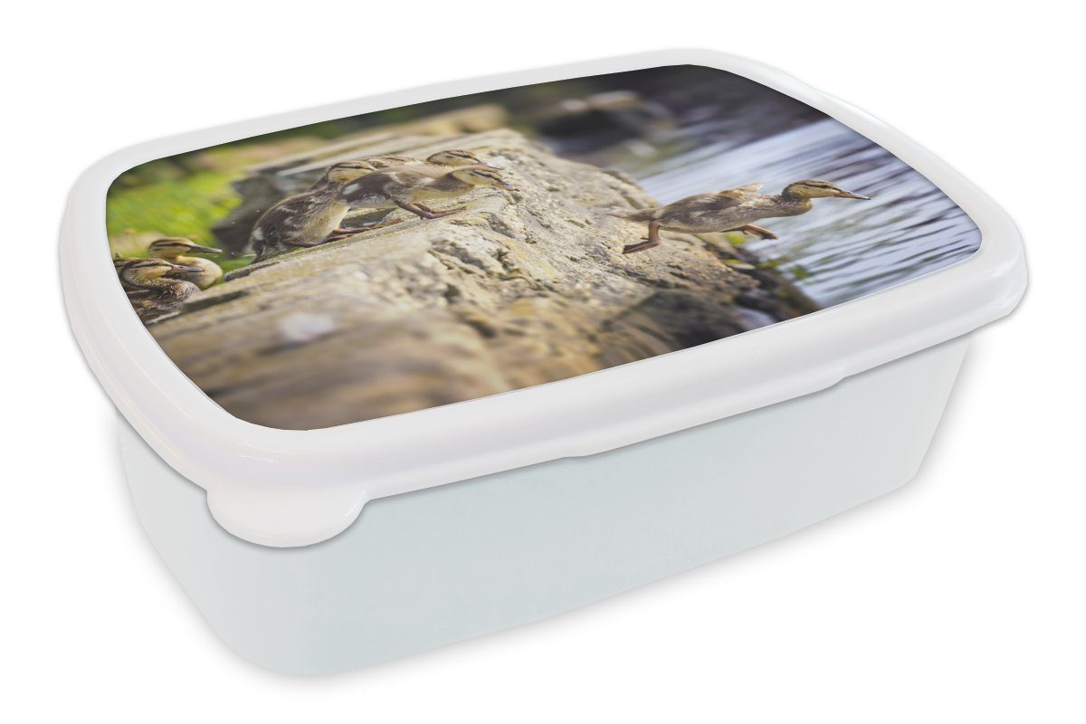 MuchoWow Lunchbox Enten - Steine - Küken, Kunststoff, (2-tlg), Brotbox für Kinder und Erwachsene, Brotdose, für Jungs und Mädchen weiß