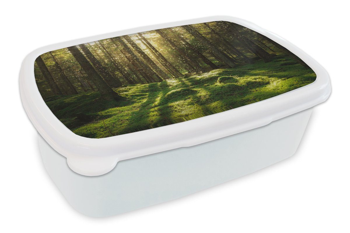 MuchoWow Lunchbox Bäume - Wald - Moos - Pflanzen - Sonne - Natur, Kunststoff, (2-tlg), Brotbox für Kinder und Erwachsene, Brotdose, für Jungs und Mädchen weiß