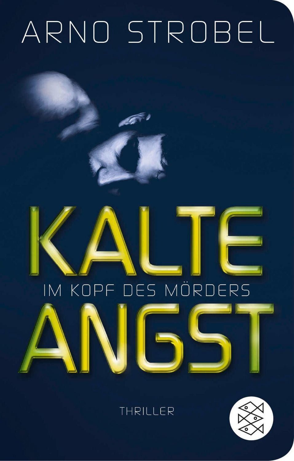 Im Kopf des Mörders - Kalte Angst / Arno Strobel