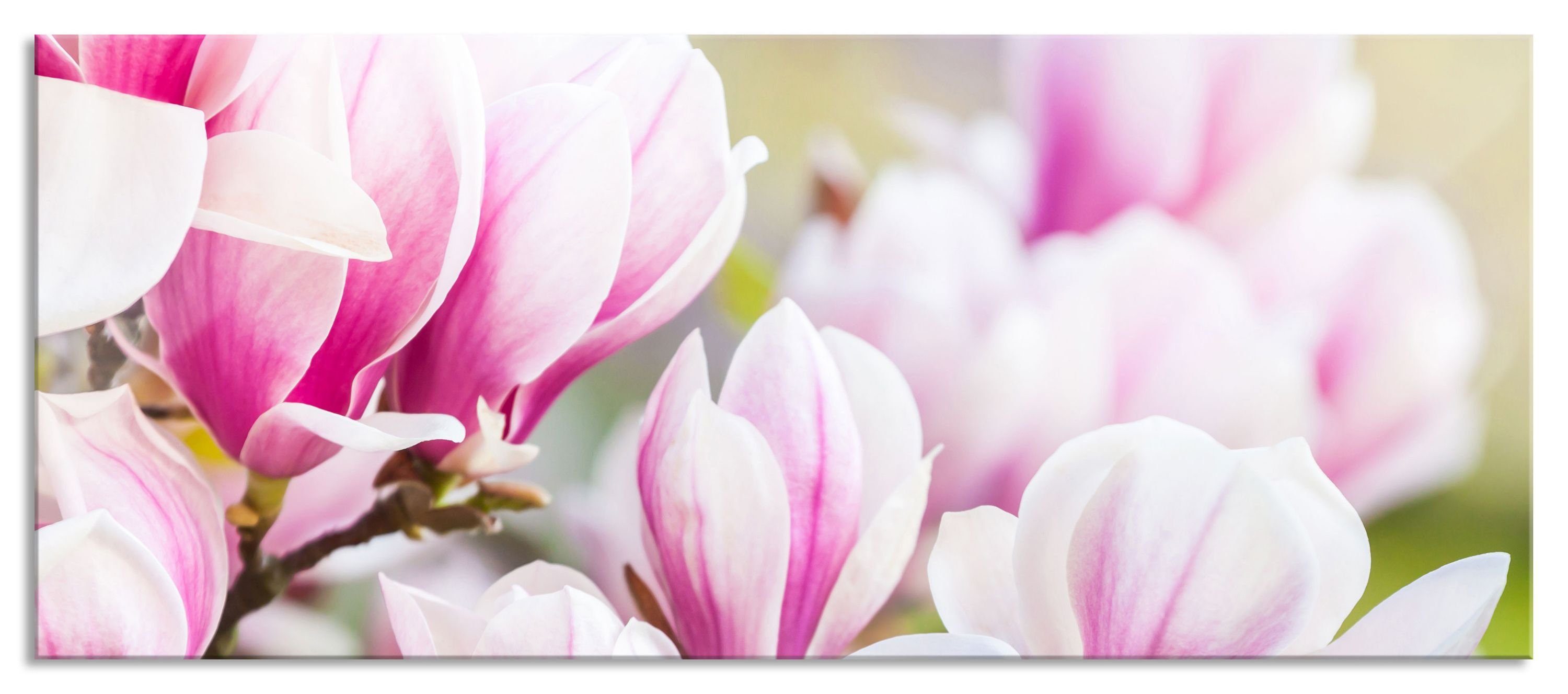 Pixxprint Glasbild feine rosa farbende Blüte, feine rosa farbende Blüte (1 St), Glasbild aus Echtglas, inkl. Aufhängungen und Abstandshalter