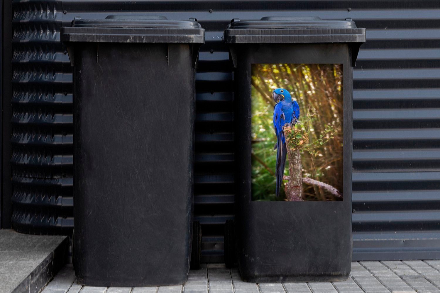 Mülltonnenaufkleber mit Abbildung von einem Ara.