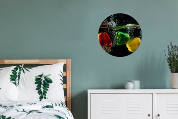 MuchoWow Gemälde Paprika - Gemüse - Wasser - Schwarz - Rot - Grün - Gelb, (1 St), Kreis Wanddekoration Forex, Rundes Wandbild, Wohnzimmer, 30x30 cm