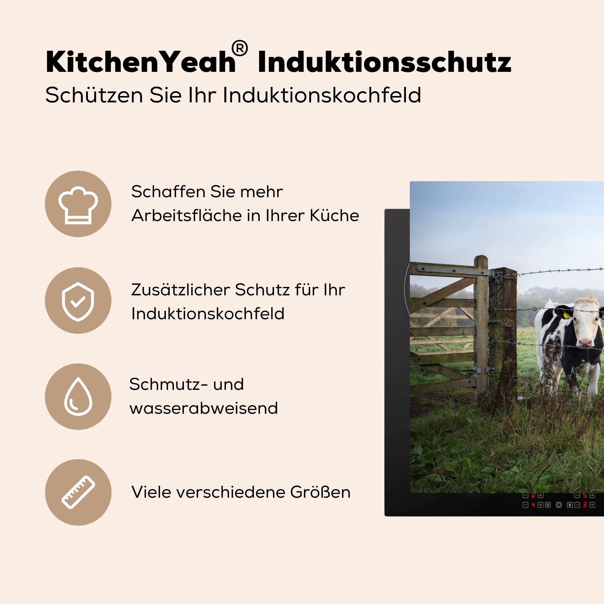 MuchoWow Herdblende-/Abdeckplatte Friesland, cm, Zaun Induktionskochfeld - für küche, Vinyl, Ceranfeldabdeckung Schutz - 81x52 die (1 tlg), Kühe