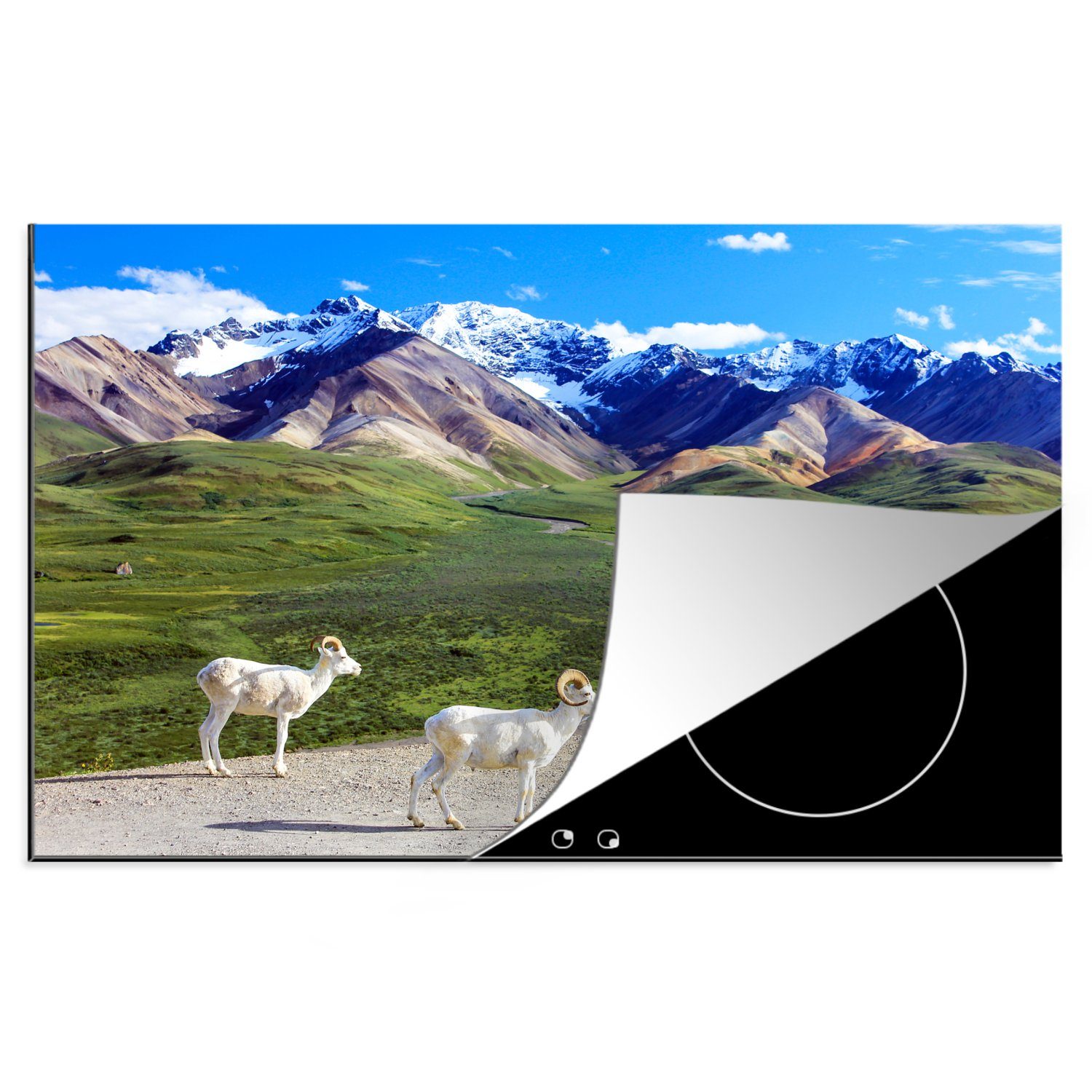 MuchoWow Herdblende-/Abdeckplatte Schafe im Denali-Nationalpark in Nordamerika mit einer Berglandschaft, Vinyl, (1 tlg), 81x52 cm, Induktionskochfeld Schutz für die küche, Ceranfeldabdeckung