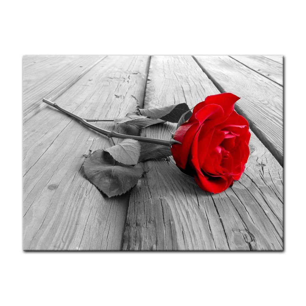 Bilderdepot24 Leinwandbild Rose Steg, Blumen