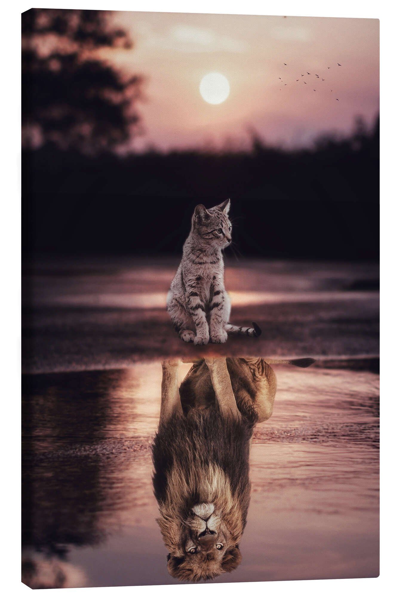 Posterlounge Wandbild Dream Big - Kleine Katze wird zum Löwen, Gen Z, erhältlich als Poster, Leinwandbild, Wandsticker oder Acrylglasbild