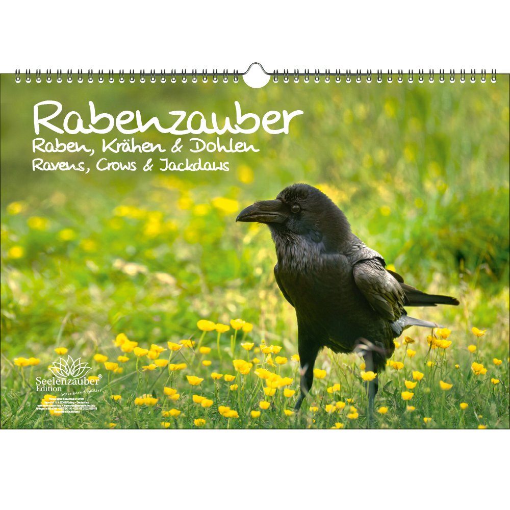 Seelenzauber ewige Kalender Rabenzauber Raben, Krähen und Dohlen DIN A3 Immerwährender Kalender