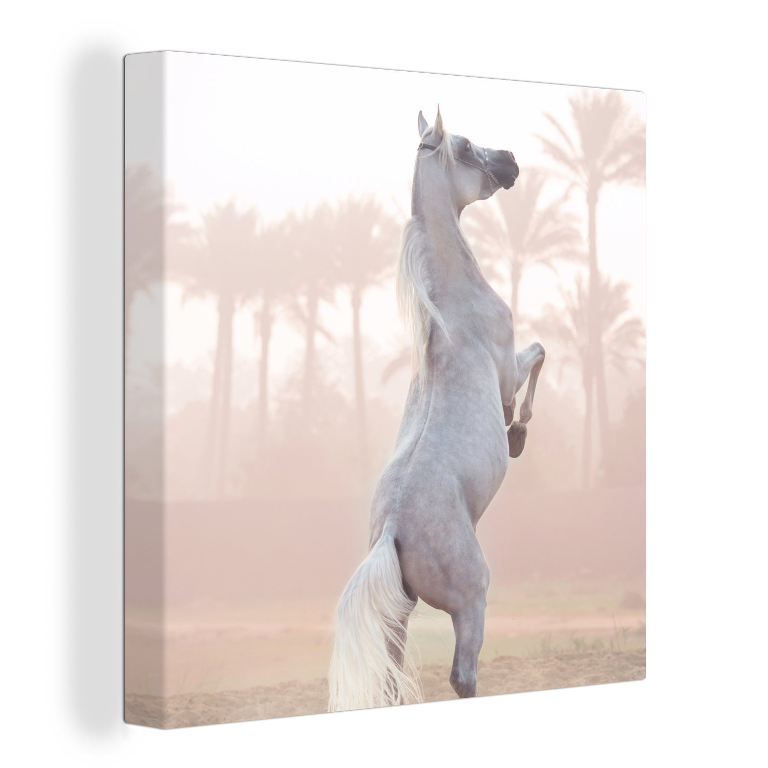 OneMillionCanvasses® Leinwandbild Pferd - Sand - Palme, (1 St), Leinwand Bilder für Wohnzimmer Schlafzimmer