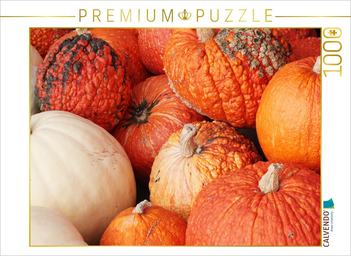 CALVENDO Puzzle CALVENDO Puzzle Kürbisse, 1000 Teile Lege-Größe 64 × 48 cm Foto-