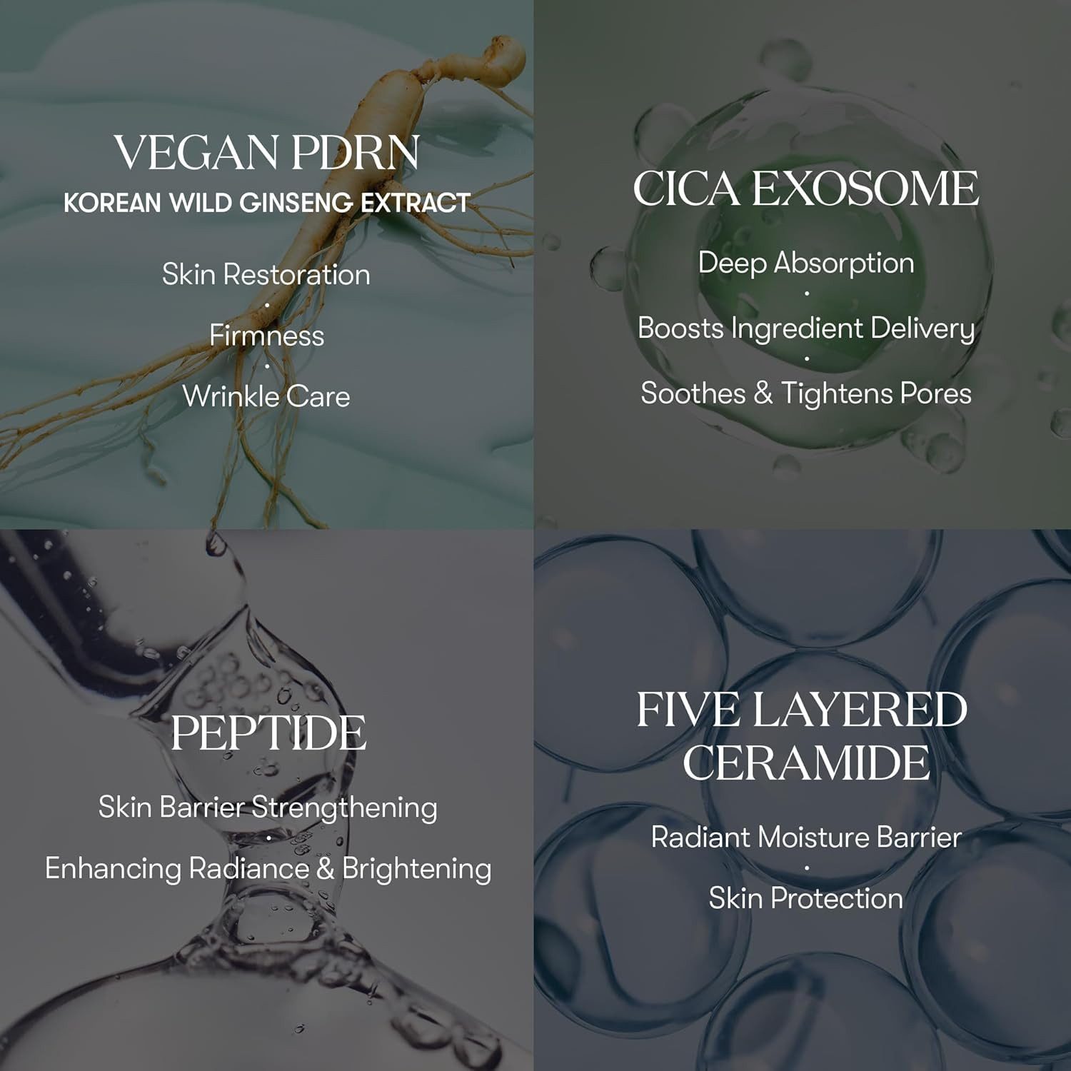 VT Cosmetics Gesichtsserum PDRN Cica Exosome Firming Ampoule R5 30 ml – straffende Gesichtspflege mit Peptiden & Ceramiden für hydratisierte, gepflegte Haut –, leichte Ampoule für Tag & Nacht – K-Beauty Serum für alle Hauttypen