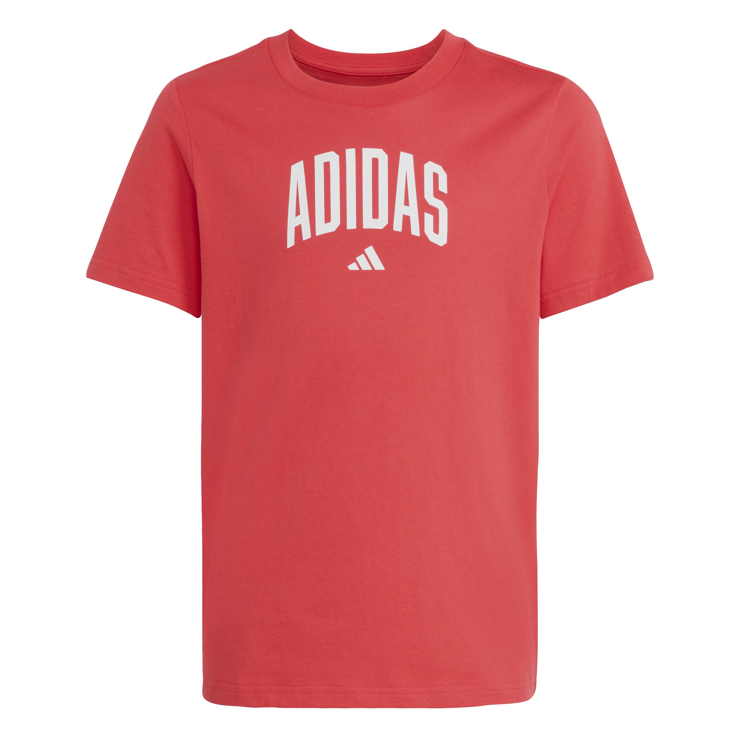T-Shirt J COLLEG T PURRUB