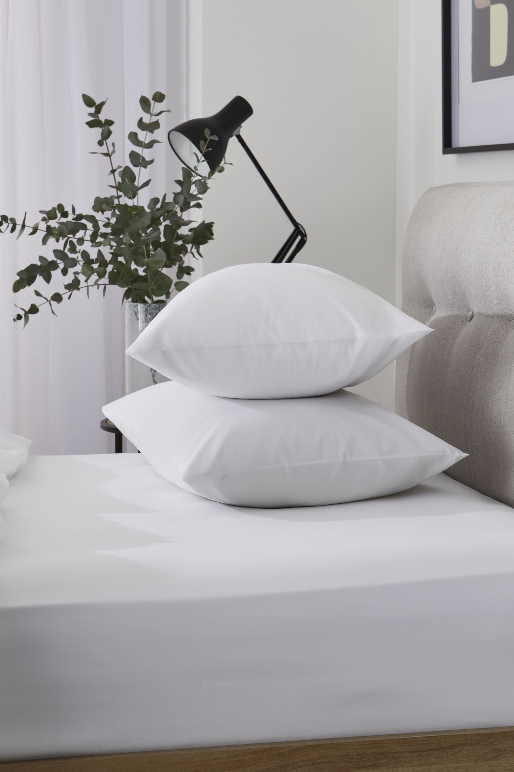 Next Spannbettlaken Laken aus kühlem TENCEL™, günstig online kaufen