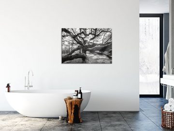 Pixxprint Glasbild Baum, Baum (1 St), Glasbild aus Echtglas, inkl. Aufhängungen und Abstandshalter