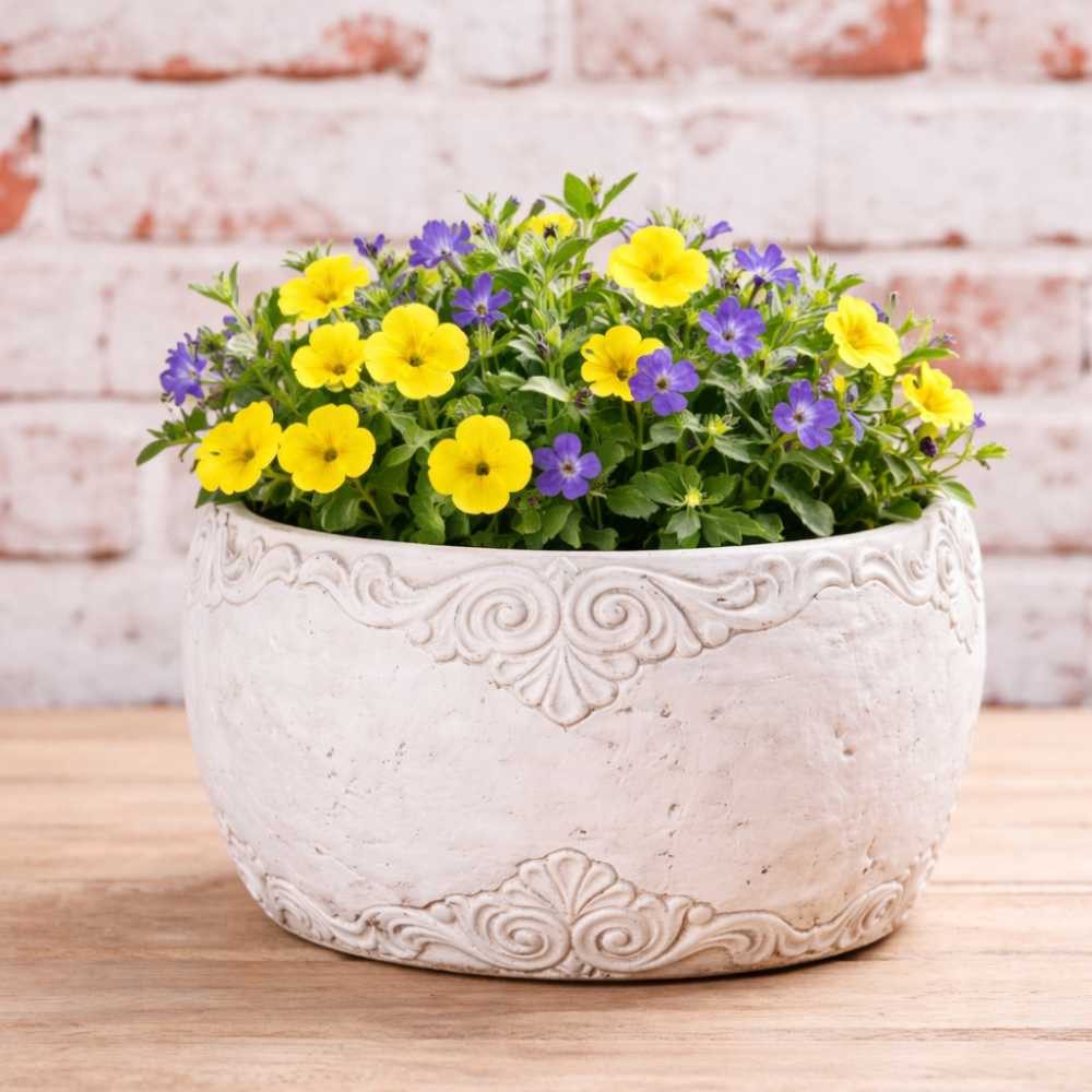 AltoBelli Blumentopf AltoBelli Blumentopf ADELINA Schale Zement Antik Grau Patina 20x10 cm