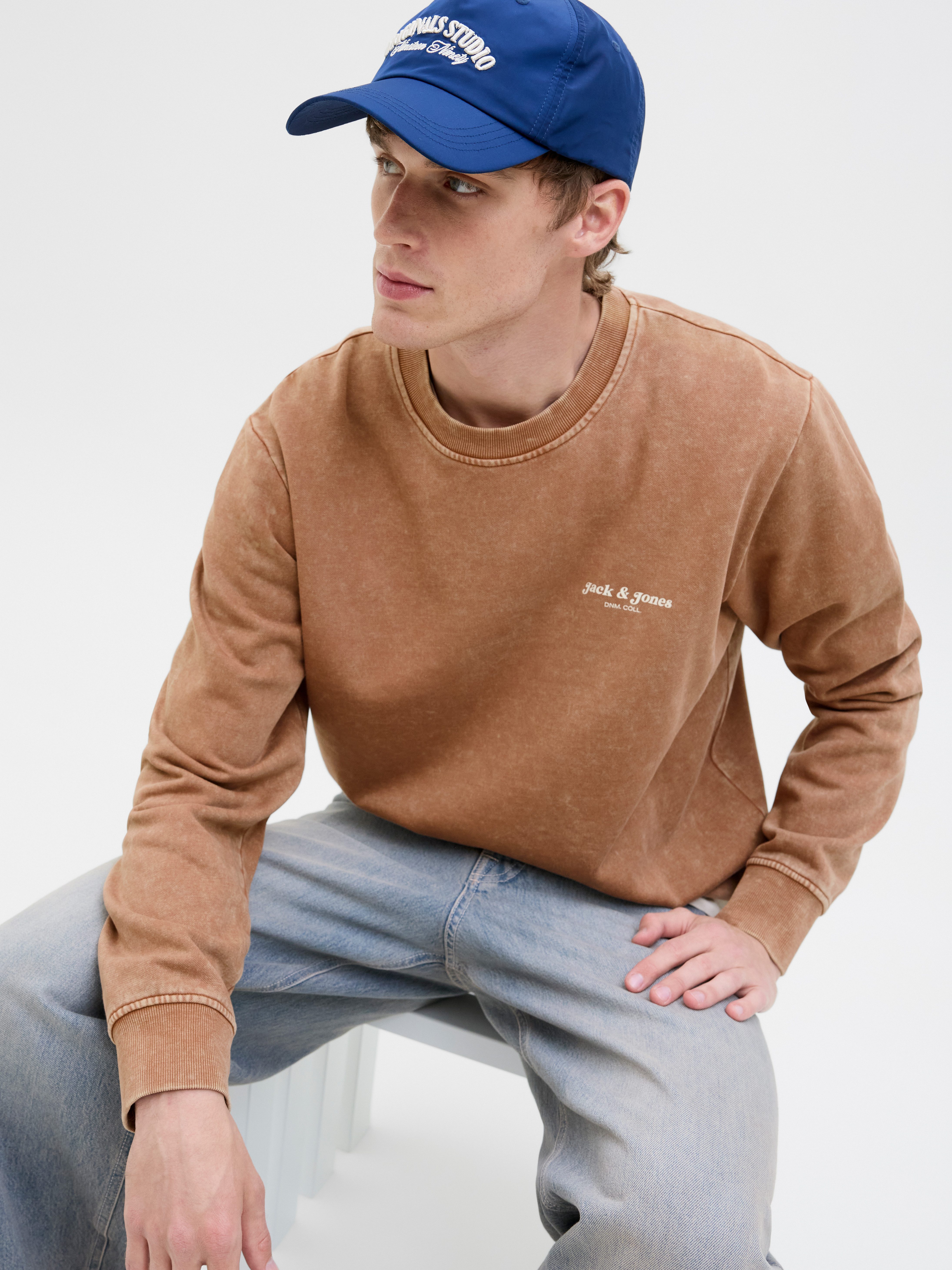 Jack & Jones Sweatshirt JJEDOVER PRINT SWEAT CREW NECK günstig online kaufen