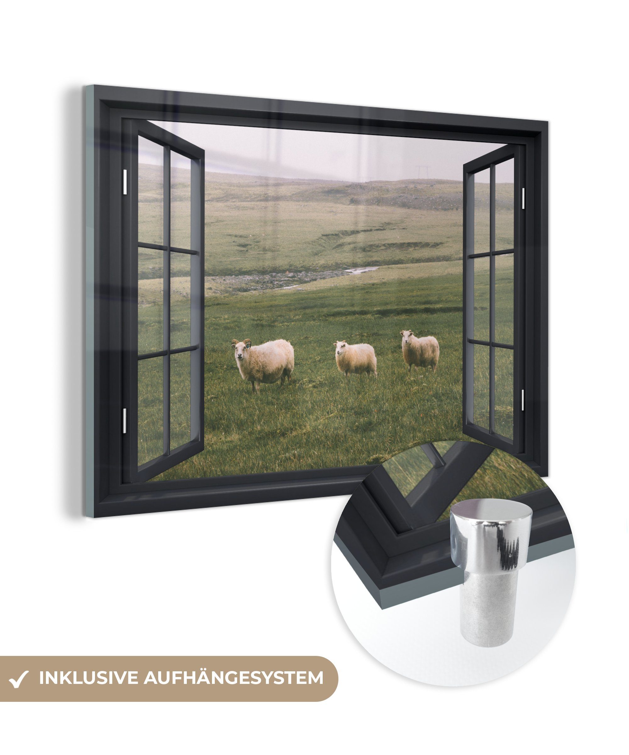 MuchoWow Acrylglasbild Durchblick - Gras - Schafe, (1 St), Glasbilder - Bilder auf Glas Wandbild - Foto auf Glas - Wanddekoration
