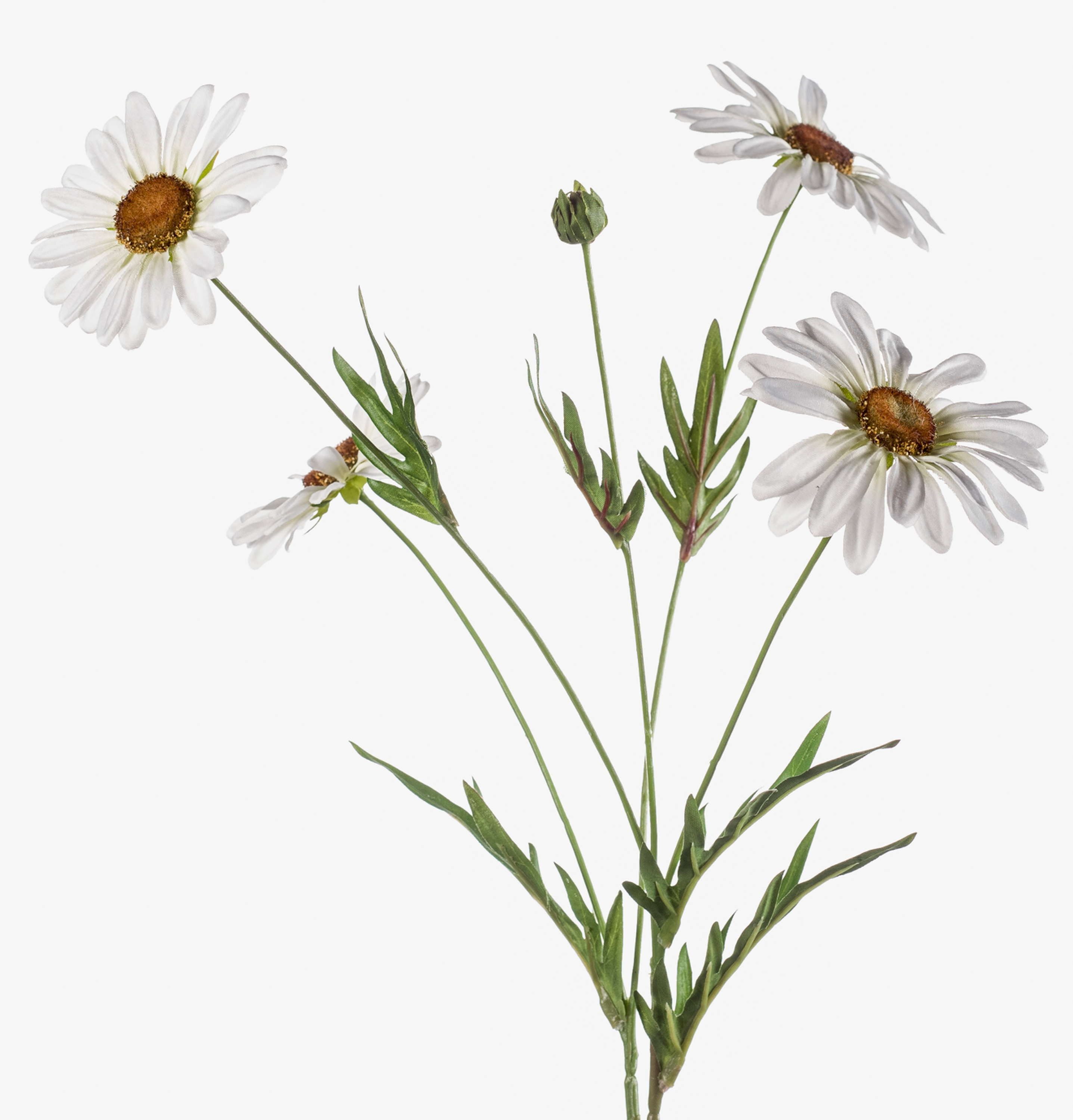 Kunstzweig Künstliche Blume Gänseblümchen NAROA, weiß, 80cm