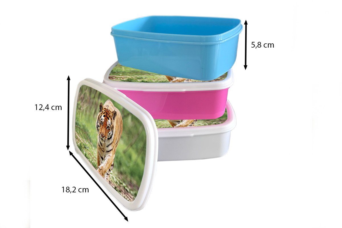 Erwachsene, und Wald Lunchbox Brotdose, - MuchoWow für Kinder Laufen, Jungs Mädchen weiß Kunststoff, für Tiger Brotbox (2-tlg), - und
