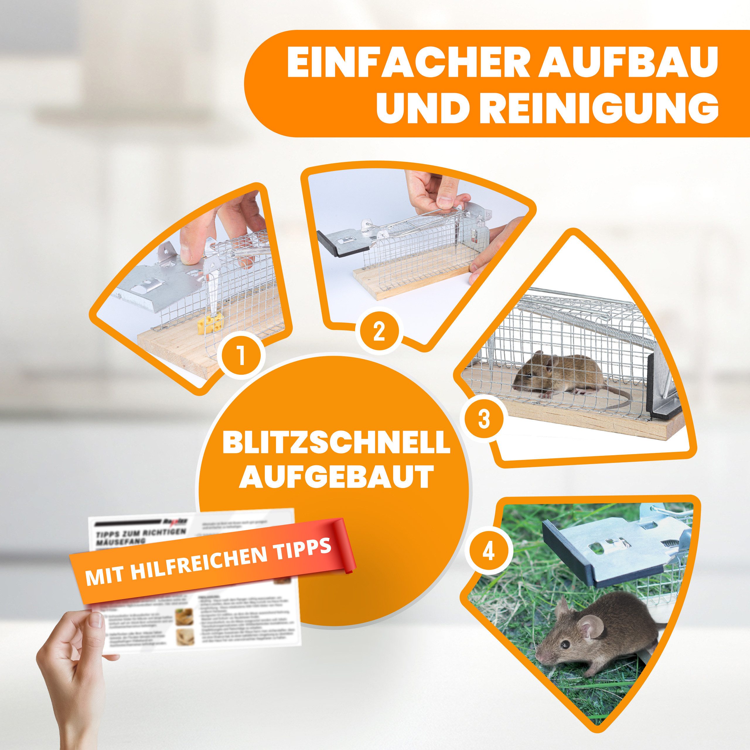 RAPIZZ Lebendfalle Mäusefalle Tierfreundlich & ohne Gift, Für den Innen-und Außenbereich, 4er-Set in Holz oder 2er-Set in ABS, Mit Tipps und Anleitung – Bild 4 von 5