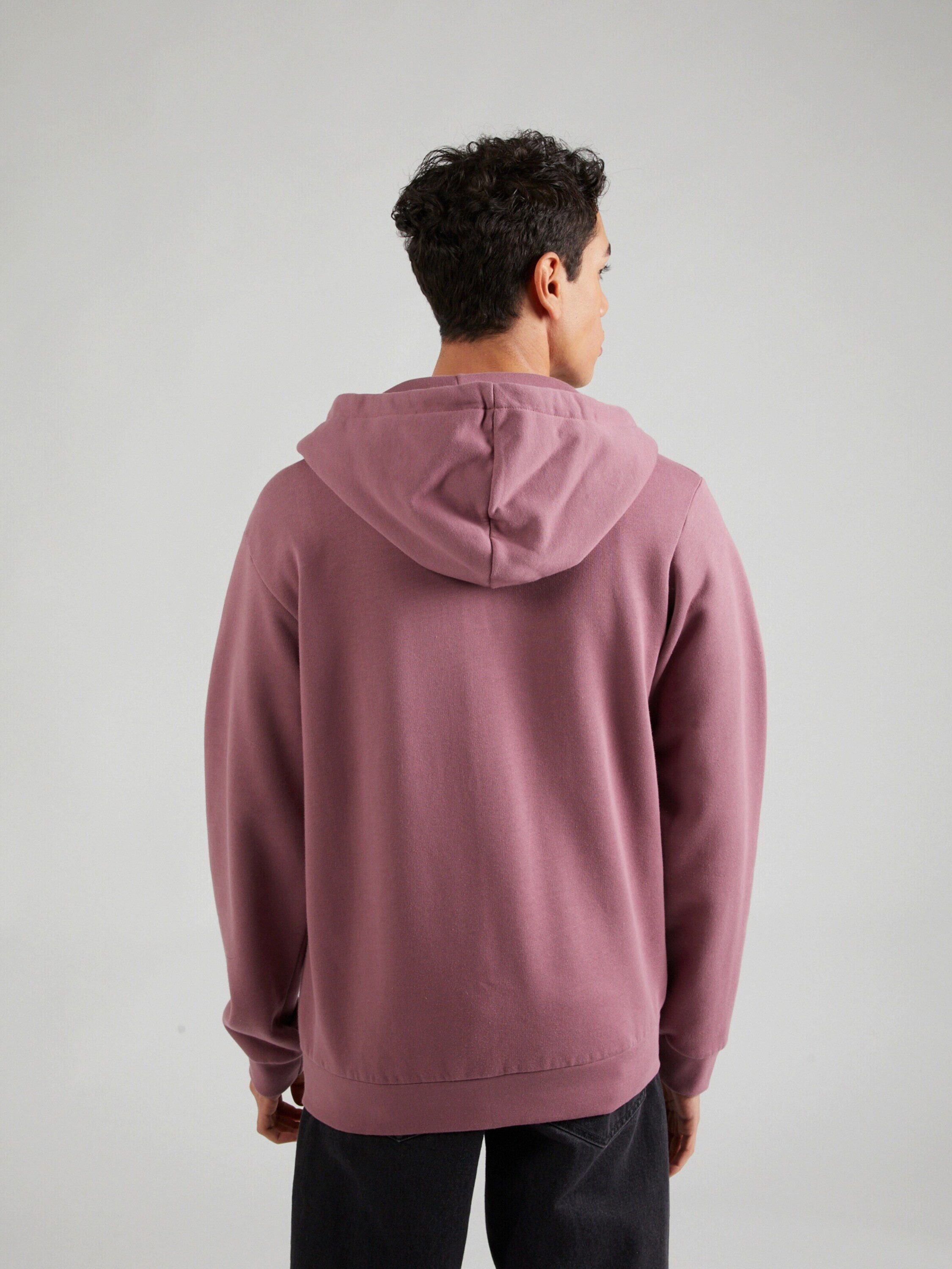 iriedaily Sweatjacke Mini Flag 2 (1-tlg)
