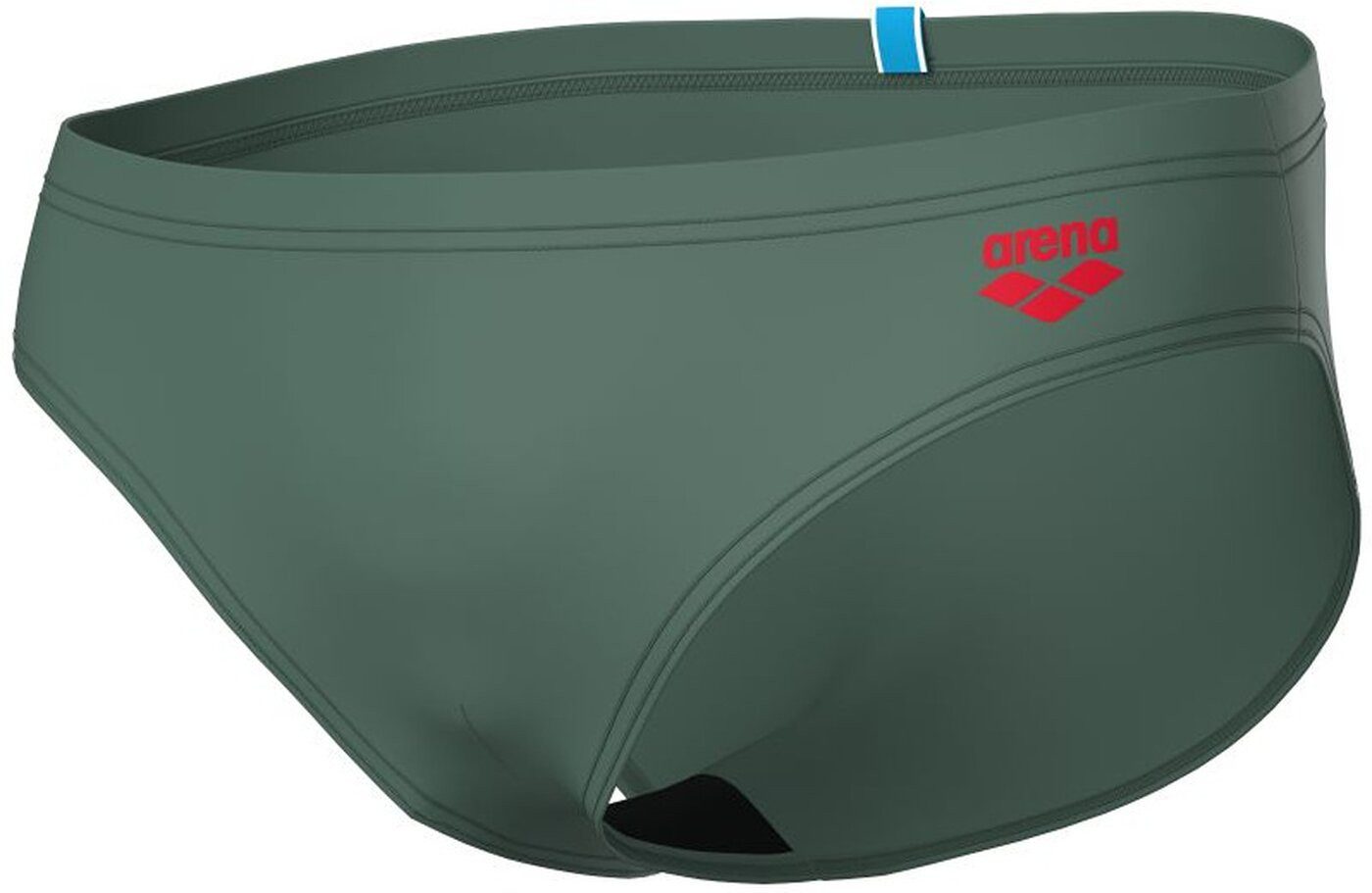 Arena Badeshorts SANTAMARIAS R SAGE-RED