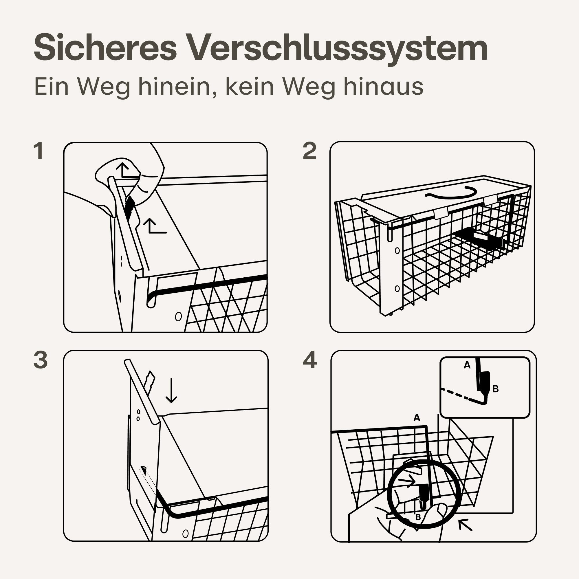 Praknu Lebendfalle XXL Lebendfalle für Ratten, Siebenschläfer und Nagetiere, Extra Groß 41 cm - Wiederverwendbar - Sofort Einsatzbereit