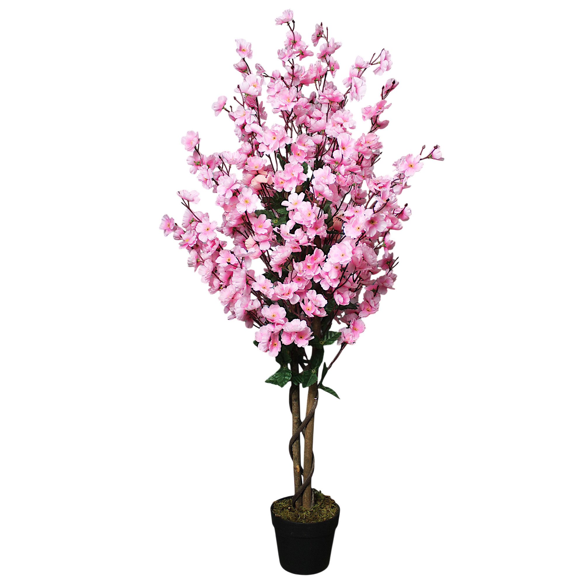 Kunstpflanze Blütenbaum Wintersweet Künstliche Pflanze Blüten Pink Wintersweet, Arnusa, Höhe 120 cm, fertig im Topf