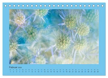 CALVENDO Wandkalender 12 Farben (Tischkalender 2024 DIN A5 quer), CALVENDO Monatskalender
