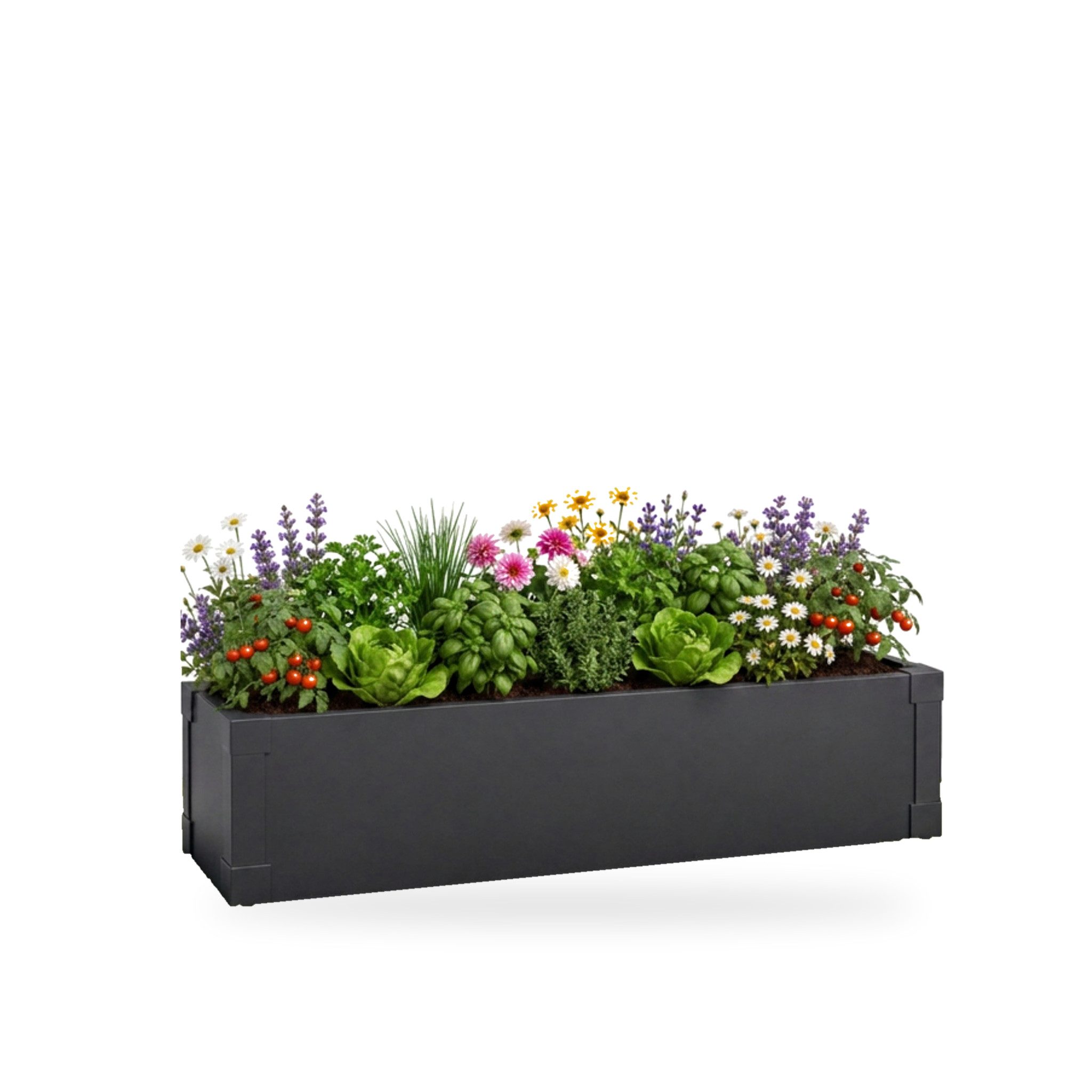 Kubus Hochbeet Urban schmales Pflanzbeet aus Metall für Kräuter, Gemüse und Blumen, pulverbeschichtet, UV-beständig