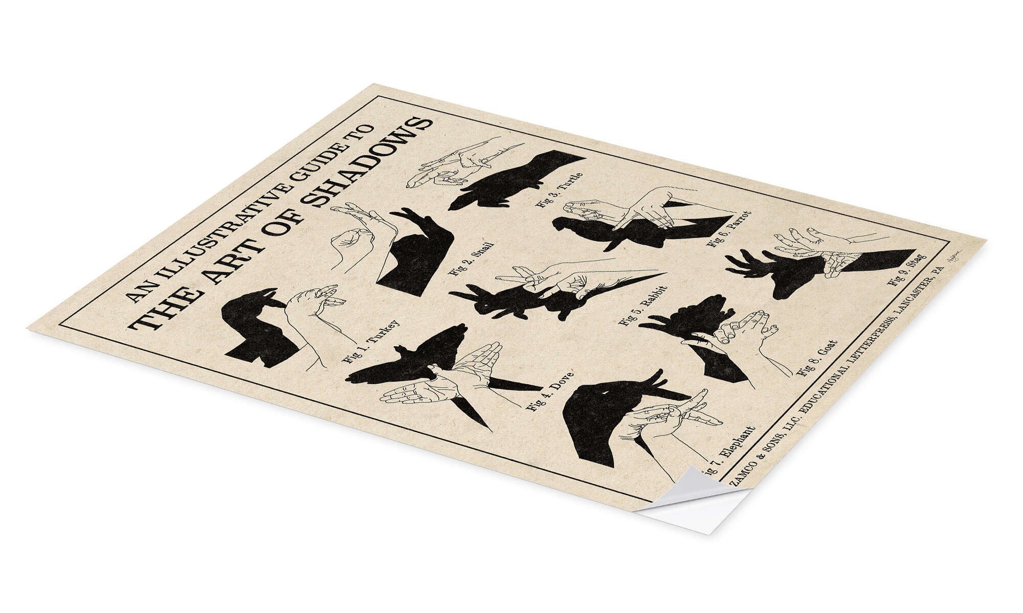 Posterlounge Wandbild Die Kunst der Schattenspiele günstig online kaufen