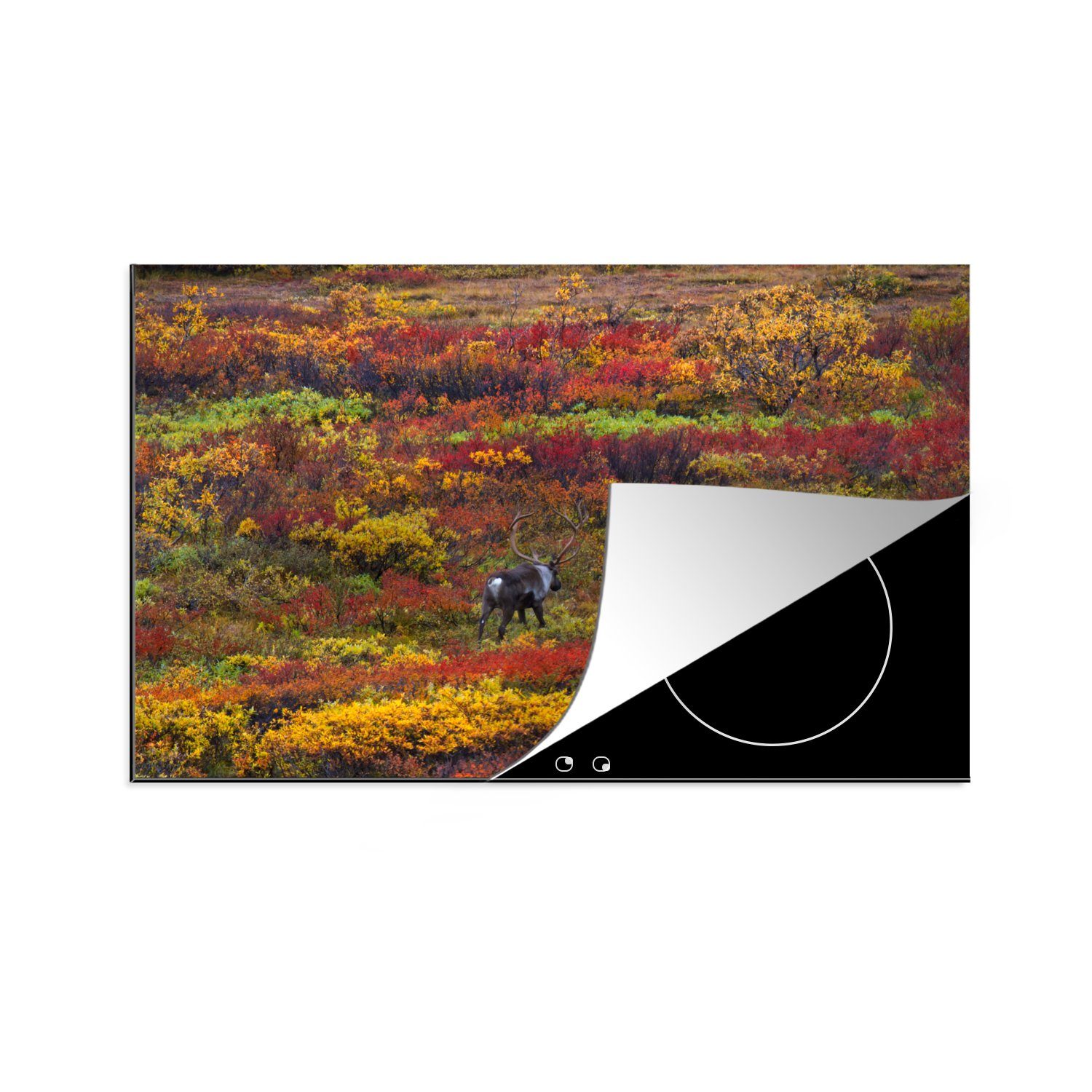 MuchoWow Herdblende-/Abdeckplatte Rentiere auf einer Tundra im Herbst, Vinyl, (1 tlg), 81x52 cm, Induktionskochfeld Schutz für die küche, Ceranfeldabdeckung