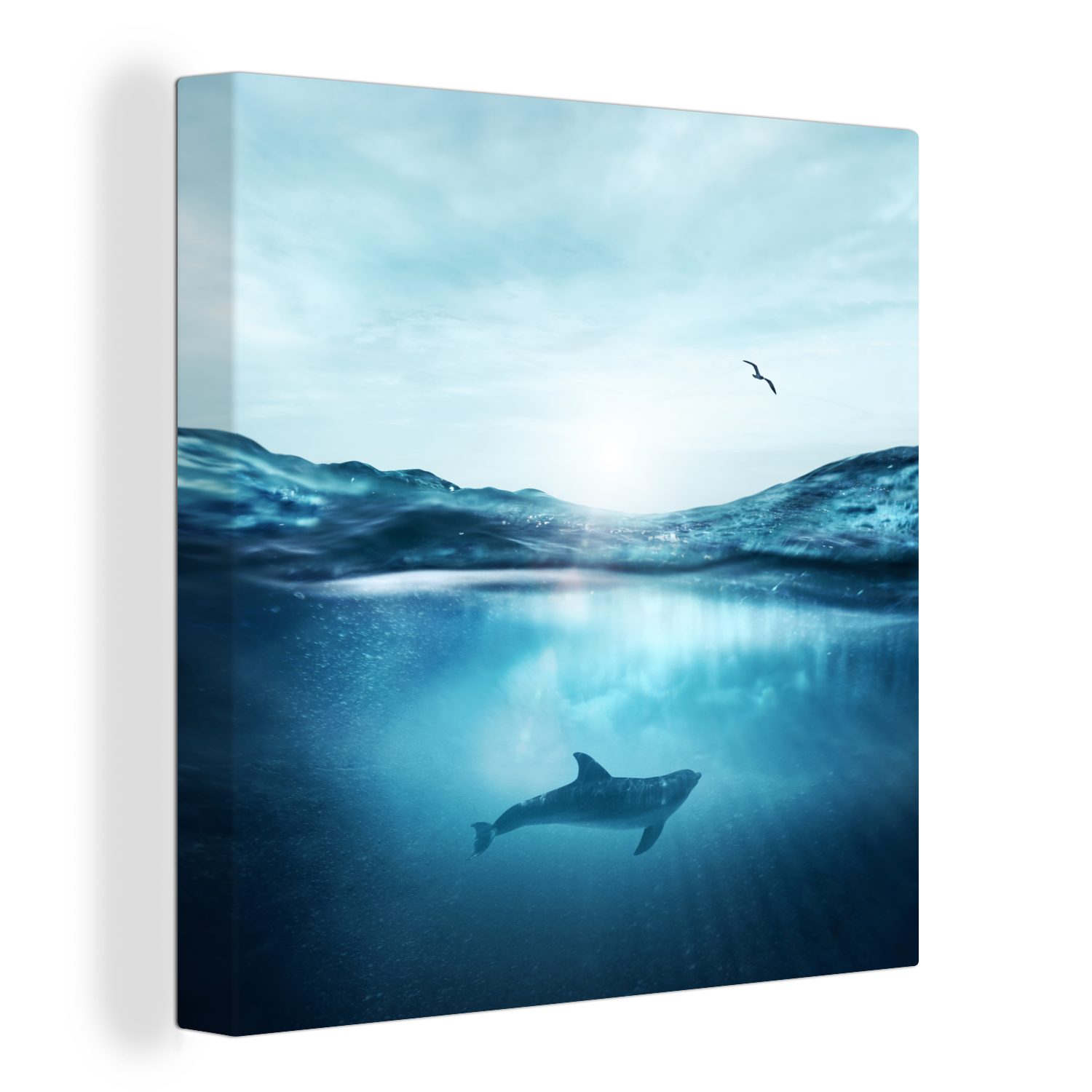 Meer Leinwandbild Delfin (1 OneMillionCanvasses® - St), für - Vogel, Bilder Leinwand Schlafzimmer Wohnzimmer