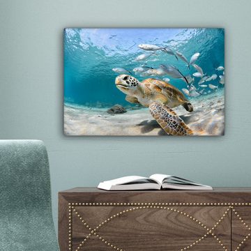 OneMillionCanvasses® Leinwandbild Schildkröte - Fisch - Meer, (1 St), Wandbild Leinwandbilder, Aufhängefertig, Wanddeko, 30x20 cm