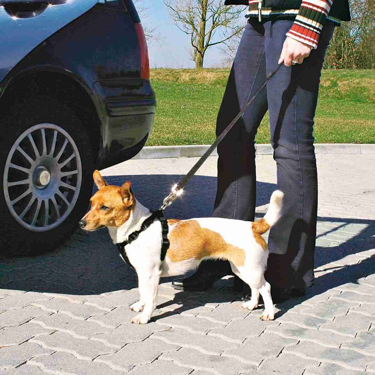TRIXIE Autohundegeschirr Auto-Geschirr - schwarz - 30–60 cm/20 mm
