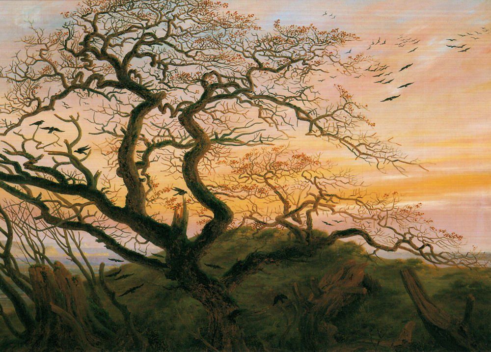 Baum (Kahler ..." "Rabenbaum Caspar Friedrich der Kunstkarte an David Postkarte