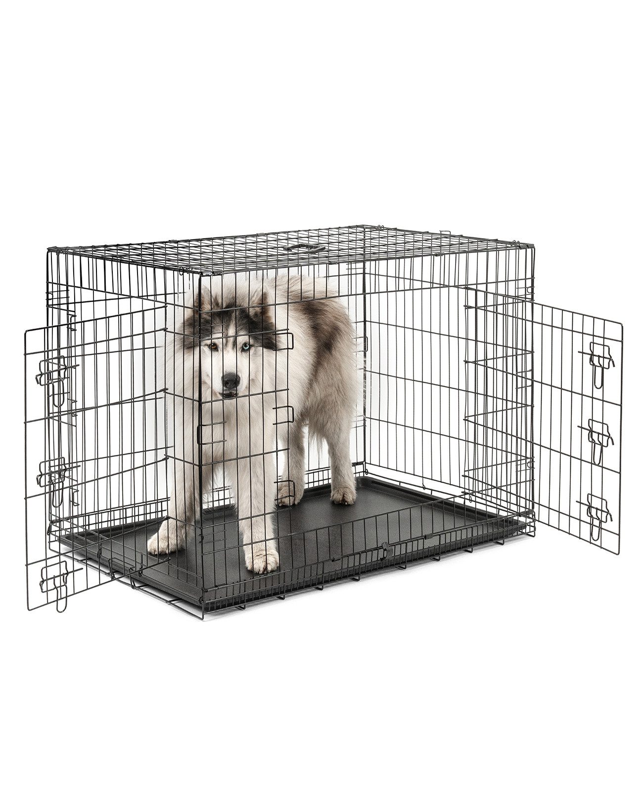 lionto Tiertransportbox faltbar mit Bodenwanne, schwarz, hygienisch mit Trennwand & Sicherheitsverriegelung